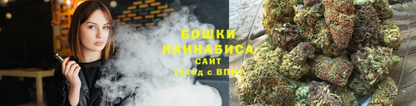mdpv Волоколамск