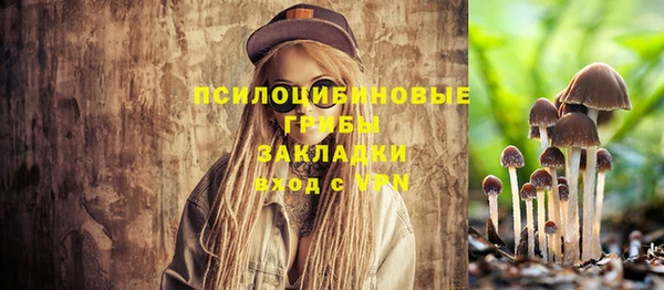 гашик Володарск