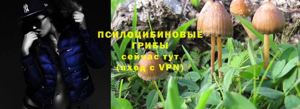 трава Вяземский